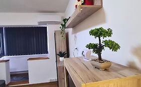 Cozy Apartment- Zona Centrala